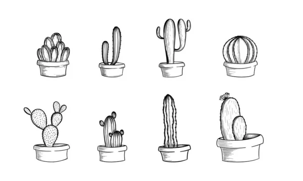 Conjunto Cactus Con Flores Dibujado Mano Cactus Ilustración Convertida Vector — Archivo Imágenes Vectoriales