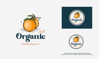 Antika Organik Turuncu Meyve Logosu şablonu, El Çizimi Turuncu logo vektörü