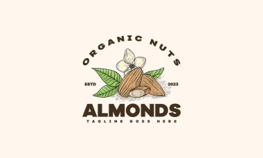 Vektör badem antika logosu. Badem tohumları ve kabuk çizimleri