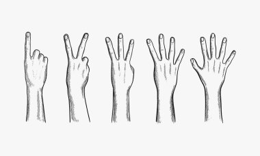 Vektör çizim set ile parmak sayma eller 1,2,3,4,5 (bir, iki, üç, dört, beş). Vintage elle çizilmiş veya çizgi roman tarzı.