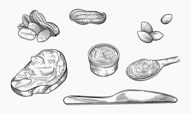 Fıstık kroki Illustration. El çizilmiş güzel Vintage siyah ve beyaz zemin somun seti.