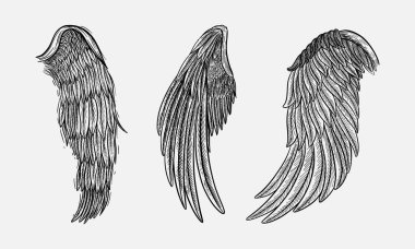 Kuş kanatlı güzel bir el çizimi. Kart, poster, tişört baskısı, akıllı telefon, el çantası.