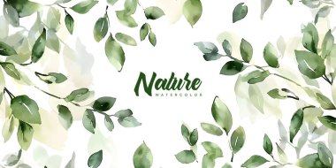 Kusursuz suluboya çiçek deseni. Duvar kağıtları, kartpostallar, tebrik kartları, düğün davetiyeleri, romantik etkinlikler için beyaz arka planda yeşil yapraklar ve dallar.