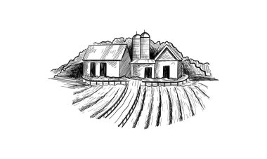Kırsal manzara alan buğday grafik tarzı. Çizilmiş ve illüstrasyon vektör dönüştürülür el.