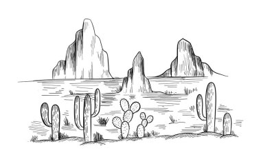 Kaktüslü Amerika çölünün çizimi. Çayır manzarası. El çizimi vektör illüstrasyonu