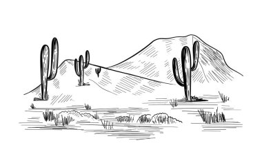 Kaktüslü Amerika çölünün çizimi. Çayır manzarası. El çizimi vektör illüstrasyonu