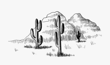 Çöl illüstrasyon vektöründe el çizimi kaktüs