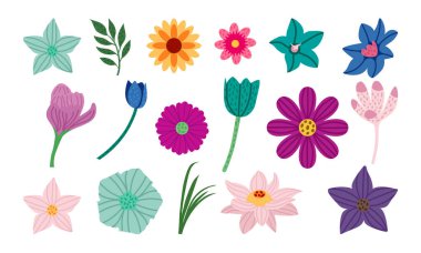 Her biri farklı bir çiçeği temsil eden ve canlı renkler ve basit şekiller içeren 15 eşsiz ve renkli çiçek çiziminden oluşan bir koleksiyon..