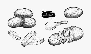 A collection of hand drawn illustrations depicting whole potatoes, potato chips, and sliced potatoes. clipart