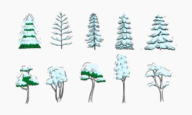 Karla kaplı çeşitli ağaçların yer aldığı, kış temaları için uygun elle çizilmiş bir illüstrasyon seti.