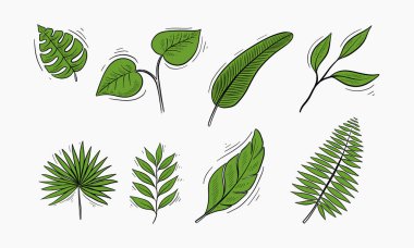 Çeşitli şekil ve tarzlara sahip birden fazla yeşil yaprak içeren el çizimi çizimleri.