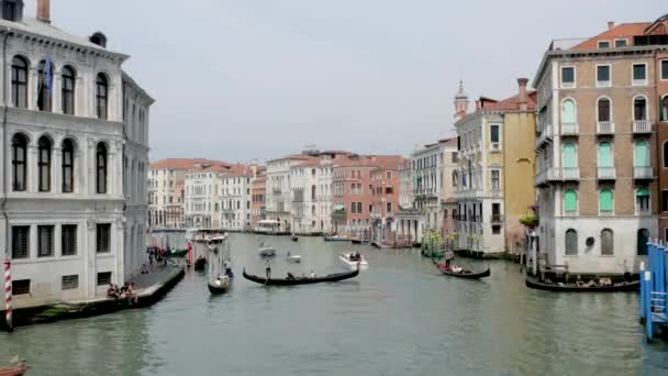 Veneza Itália Abril 2024 Vista Ponte Rialto Muitas Gôndolas Outros Filmagem De Bancos De Imagens Sem Royalties