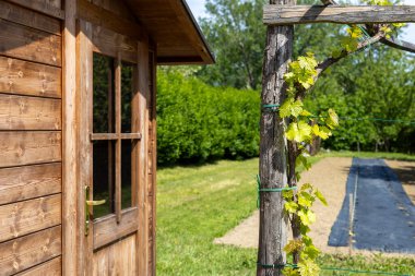 Mevsimin başında ekinsiz küçük tarlalarda bir kulübe, arka bahçe.