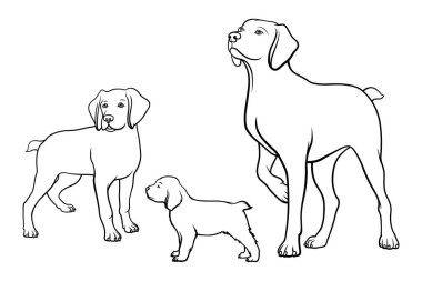 Amerikan köpekleri Brittany 'yi sıraya dizer. Bir köpek ailesi. Beyaz arkaplanda vektör illüstrasyonu.