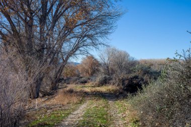 Batı Colorado 'da sonbaharın sonlarında asfaltsız yol
