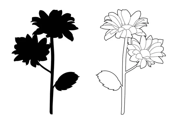Vector Illustration Two Flowers — Stockvector