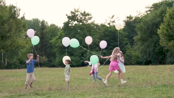 Kinderen Hebben Plezier Met Hardlopen Springen Het Gras Het Zomerpark — Stockvideo