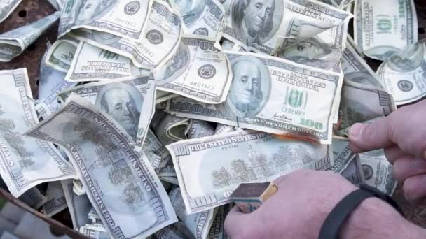 Zapálit Falešné Dolary Sirkou Hořící Měna Finanční Krize Deprimovaná Ekonomika — Stock video