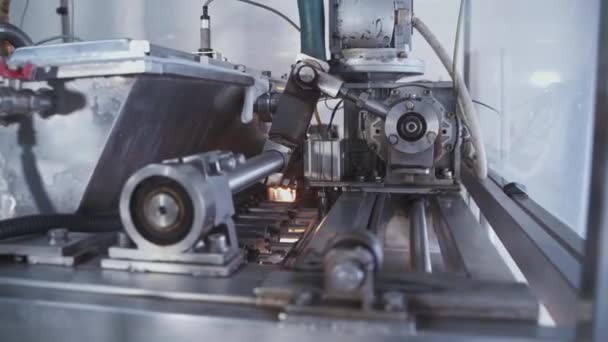 Automatyczna Maszyna Produkcji Pianek Wał Obrotowy Tłoki Automatycznej Przenośnika Fabryce — Wideo stockowe