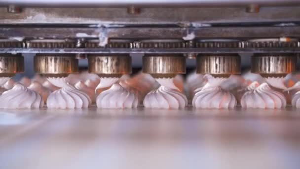 Linea Automatica Produzione Marshmallow Dispositivo Formazione Prodotti Dolciari Concetto Fabbrica — Video Stock