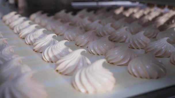 コンベアベルト上の甘い白い渦巻きマシュマロ 工場での菓子製品の生産 乾燥工程 — ストック動画