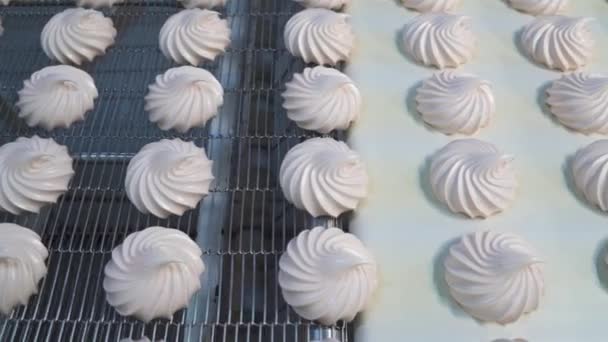 Bílý Sladký Marshmallow Pohybuje Automatickém Pásovém Dopravníku Cukrárně Produkce Sladkostí — Stock video
