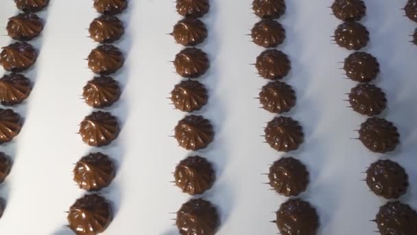 Verse Marshmallow Bedekt Met Pure Chocolade Beweging Van Transportband Met — Stockvideo