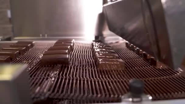 工場でチョコレートの生産 ミルクチョコレートでコーティングするための金属コンベアベルト上のチョコレートの行 — ストック動画