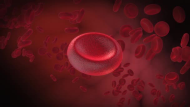 Ερυθρά Ερυθροκύτταρα Κινούμενα Σχέδια Των Κυττάρων Του Αίματος Περιστροφή Και — Αρχείο Βίντεο