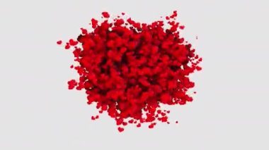 Animated appearance of a large heart shape made of small flying red hearts on a white background. Concept for valentines day, wedding.