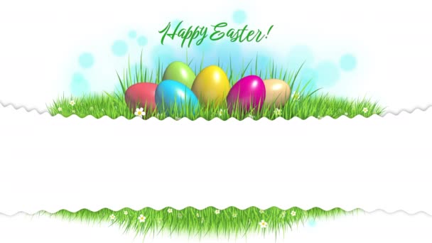 Green Meadow Colored Easter Eggs White Background Bokeh White Empty — Stock videók