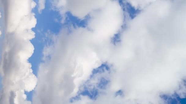 垂直录像 白绒绒积云 云彩在空中的快速移动 时间流逝 — 图库视频影像