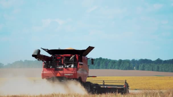 Vinnytsia Ukraine Temmuz 2020 Buğday Biçme Makinesi Tarlada Buğday Kesiyor — Stok video