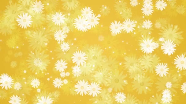 Ромашковые Цветы Белыми Лепестками Летние Растения Которые Вращаются Появляются Исчезают — стоковое видео