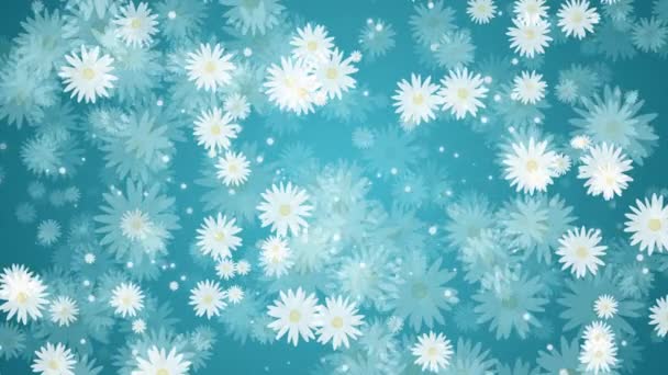 Ромашковые Цветы Белыми Лепестками Летние Растения Вращаются Появляются Исчезают Бесшовный — стоковое видео
