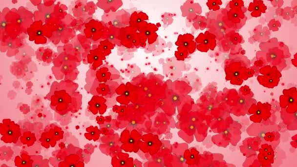 白い背景に赤いケシの花 アブストラクトループ運動グラフィックス 植物のアニメーションを回転させます 平和的な未来への記憶と希望の象徴 — ストック動画