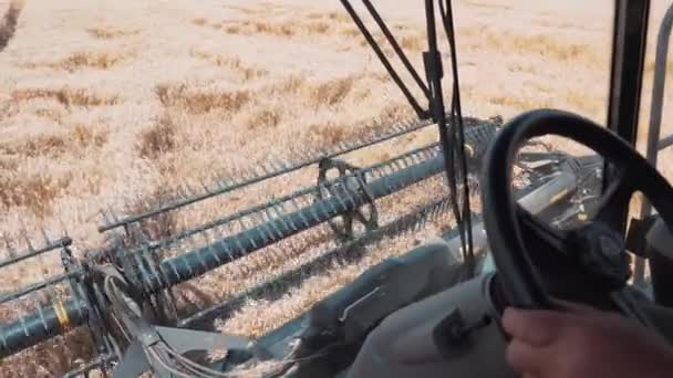 Vinnytsia Ukraine 2020年7月19日 小麦の耳を回転させ カットする粉の収穫機のキャビンからの眺め ハンドルを握る男の手 — ストック動画