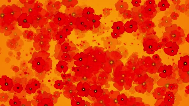 Κόκκινα Λουλούδια Παπαρούνας Κίτρινο Φόντο Αφηρημένα Γραφικά Κίνησης Περιστρεφόμενη Χλωρίδα — Αρχείο Βίντεο