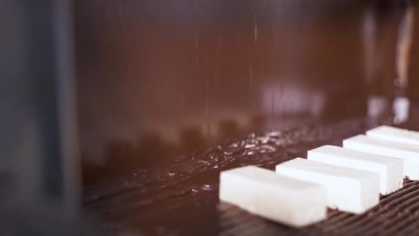 Cukorkákat Borít Sötét Olvadt Csokoládéval Gyárban Édességek Előállításához Használt Szállítószalag — Stock videók