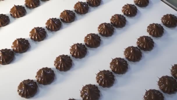 Movimiento Malvaviscos Recién Hechos Cubiertos Chocolate Una Cinta Transportadora Blanca — Vídeo de stock