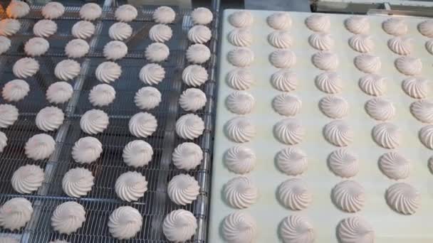Pásovém Dopravníku Pohybuje Sladce Růžový Vířivý Marshmallow Cukrárna Výrobu Přírodních — Stock video