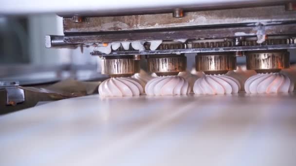 Automatizovaná Linka Výrobu Sladkého Suflé Marshmallow Detailní Záběr Tvorbu Cukrářských — Stock video