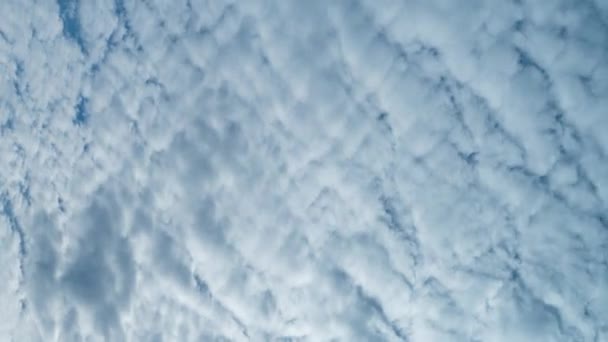 垂直录像 飞扬的毛茸茸的白云掠过天空 太阳光 — 图库视频影像