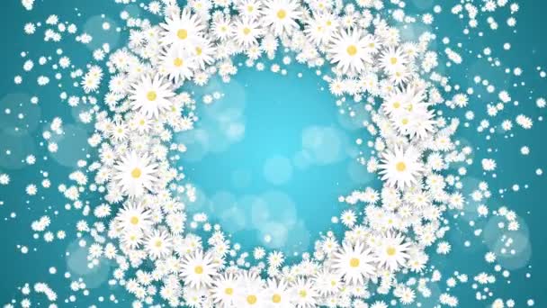 绿松石背景上的花形圆形框架 飘飘欲仙的小雏菊 带有抽象的微粒 循环假日动画 — 图库视频影像