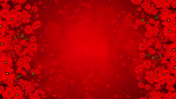 テキストのための空のコピースペースと赤の背景にポピーの花 回転花の花の要素 ループアニメーション — ストック動画