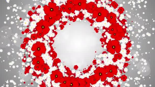 花の丸枠春の背景 小さな空飛ぶ白いデイジーと抽象的な粒子を持つ赤いケシの花 ループ休日のアニメーション — ストック動画