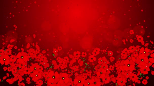 Wzór Czerwone Kwiaty Maku Liśćmi Graficzne Elementy Kwiatowe Poruszają Się — Wideo stockowe