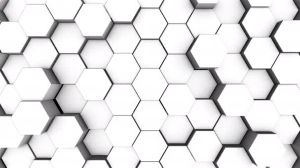Белый Фон Двигающимися Шестиугольными Цилиндрами Абстрактная Анимация Геометрические Фигуры — стоковое видео