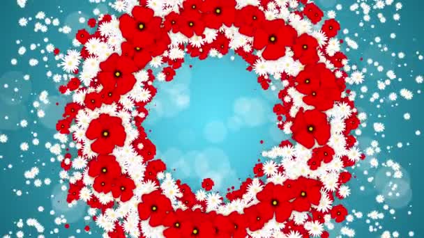 Wreath Frame Red Flowers Poppies Daisies Looped Floral Animation Blue — Stock Video