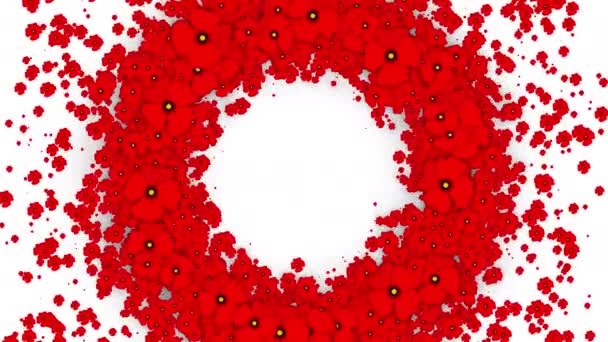 Animation Une Couronne Ronde Coquelicots Rouges Fond Floral Abstrait Été — Video
